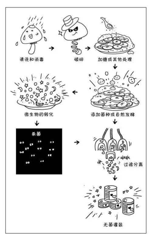 EMC易倍 EMC易倍体育【进出口食品安全】发酵果蔬汁——乳酸菌饮料的新宠(图2)