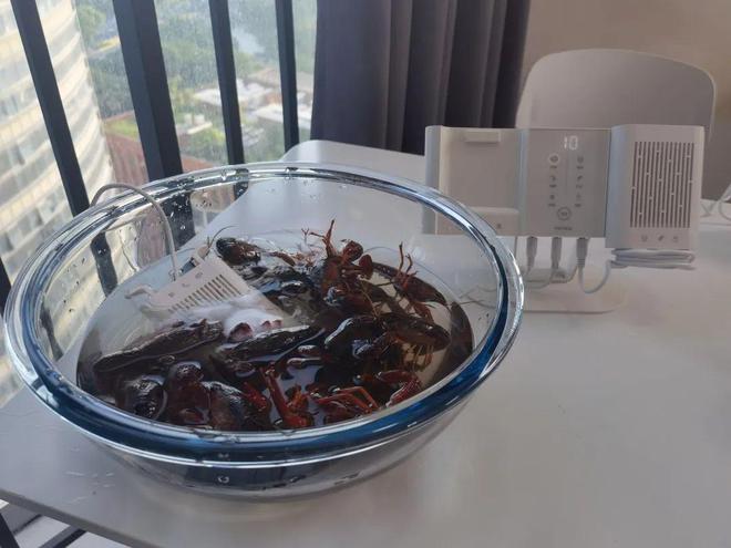 EMC易倍 EMC易倍体育清水洗洗就能吃？家庭备个果蔬机双仓去有害残留物一步到位！(图8)