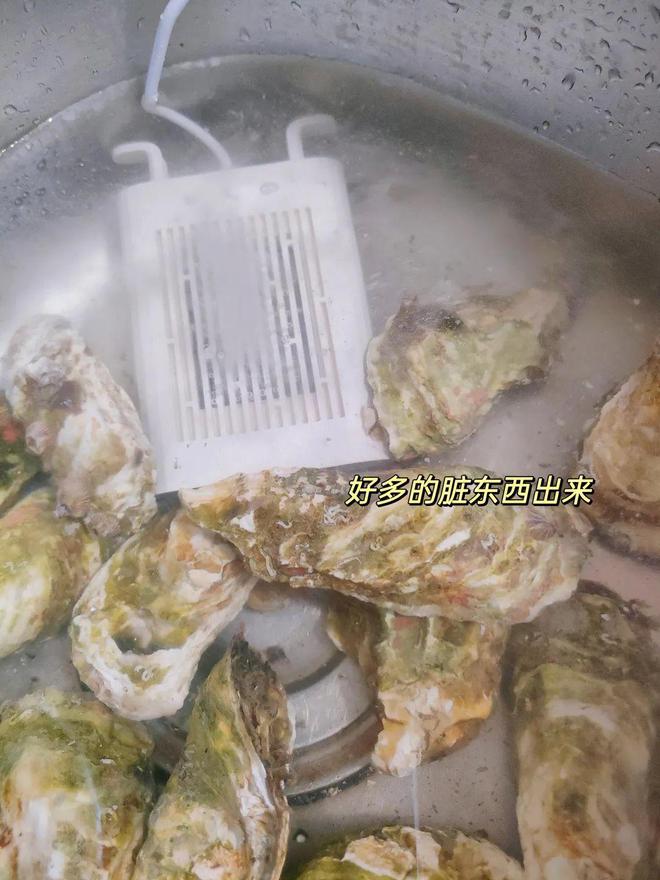 EMC易倍 EMC易倍体育清水洗洗就能吃？家庭备个果蔬机双仓去有害残留物一步到位！(图4)