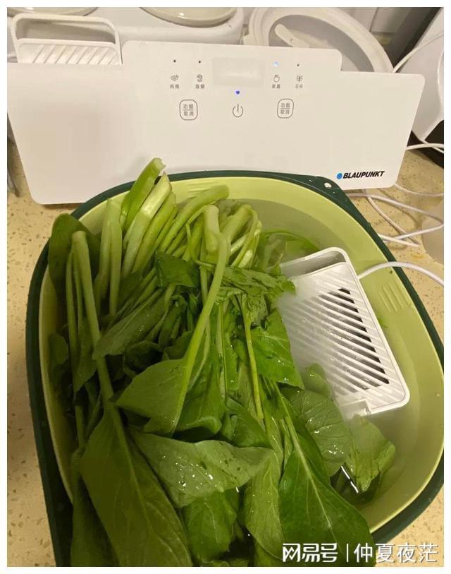 EMC易倍 EMC易倍体育果蔬清洗机是“神器”还是“智商税”？用过的人告诉你真实感受(图11)