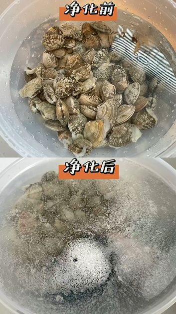 哪个牌子的果蔬清洗机比较好？怎么选到适合自己的？EMC易倍 EMC易倍体育(图8)