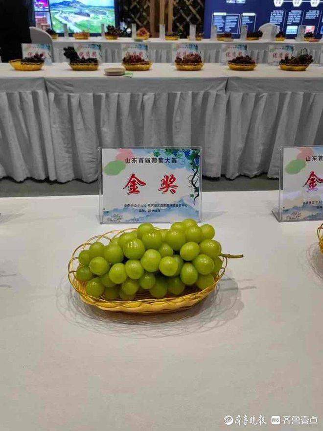 济南瓦西果蔬选送的“阳光玫瑰”葡萄获山东省首届葡萄大赛金奖EMC易倍 EMC易倍体育(图2)