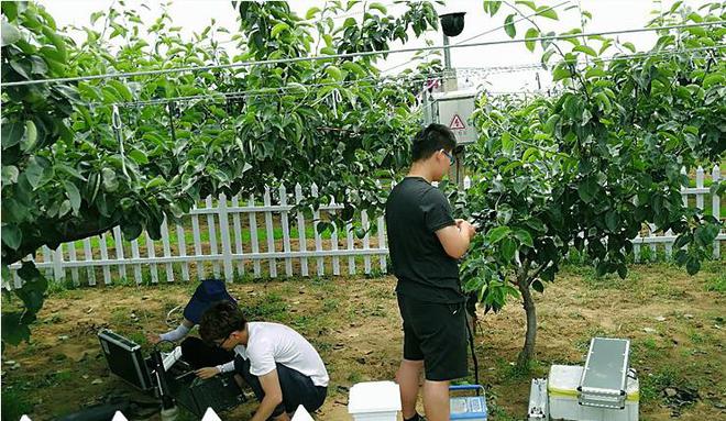 EMC易倍 EMC易倍体育日本颁布新《种苗法》对这些果蔬实行“封锁”严禁流入中国(图3)