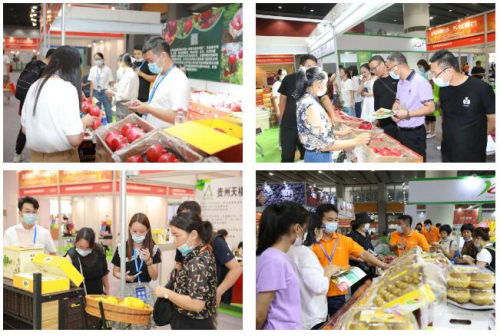 EMC易倍 EMC易倍体育对线日在广州召开(图2)
