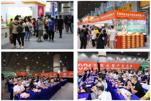 EMC易倍 EMC易倍体育对线日在广州召开(图7)