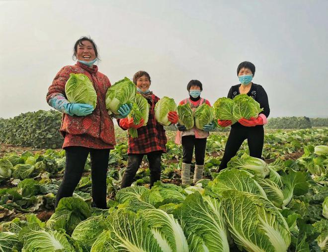 EMC易倍 EMC易倍体育第20期 果蔬飘香 国元证券杯“乡村振兴、百业兴旺、共同富裕”全国摄影大展参赛作品欣赏(图1)