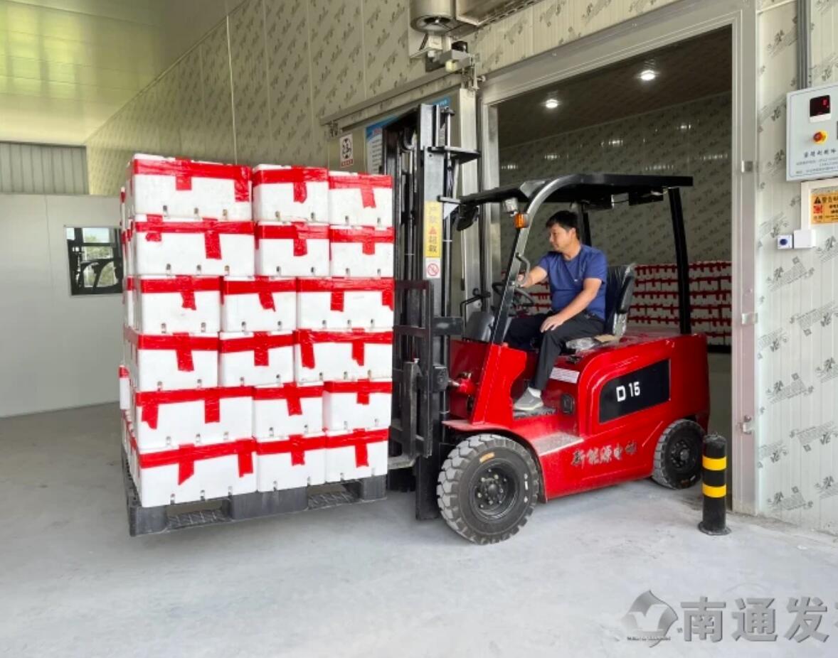 EMC易倍 EMC易倍体育冷库立田头果蔬抢“鲜”出 江苏海门“田头冰箱”暖民心(图3)