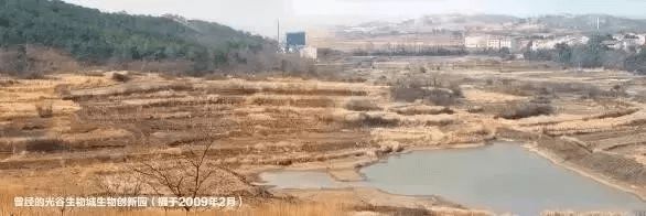 EMC易倍 EMC易倍体育后来者居上 它凭什么跻身中国生物医药产业园第一方阵？(图2)