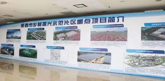 总3306亿元！莱西市20个乡村振兴示范片区项目集中EMC易倍 EMC易倍体育签约！(图6)