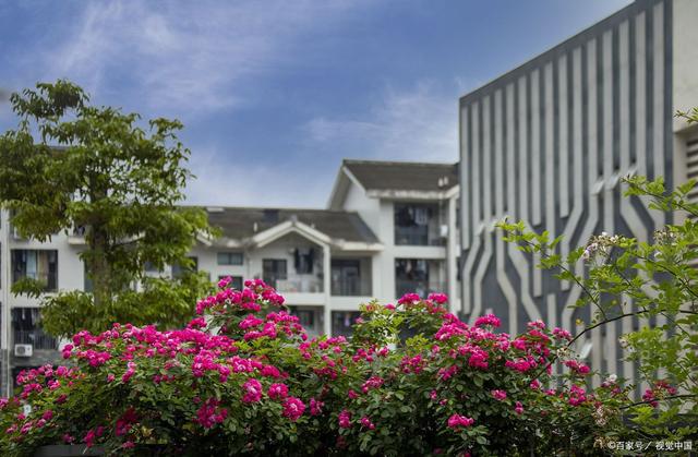 EMC易倍 EMC易倍体育高考新机会：12个专业被列为“引导性”专业旨在培养紧缺人才(图8)