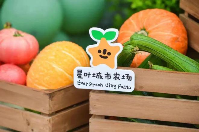 EMC易倍 EMC易倍体育稻米果蔬齐飘香庆丰收！闵行这么多优质地产农产品你品尝过吗？(图24)
