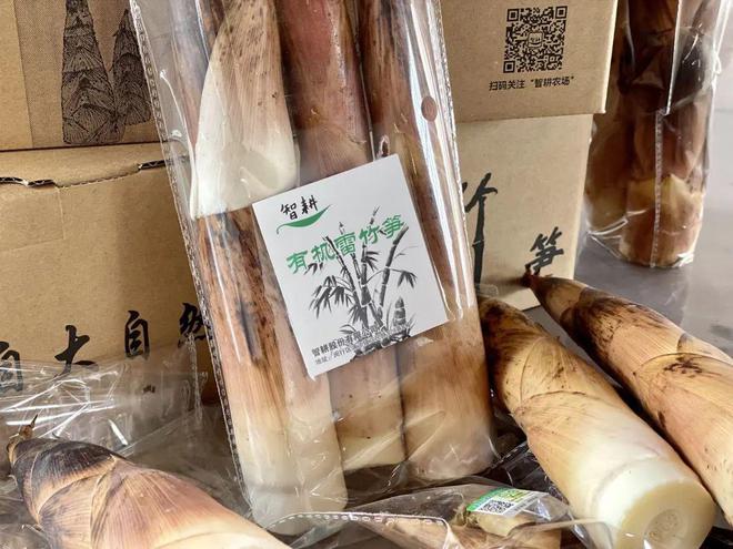 EMC易倍 EMC易倍体育稻米果蔬齐飘香庆丰收！闵行这么多优质地产农产品你品尝过吗？(图26)