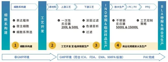EMC易倍 EMC易倍体育乐土全速发力打造领先的一站式生物药CDMO服务商(图21)