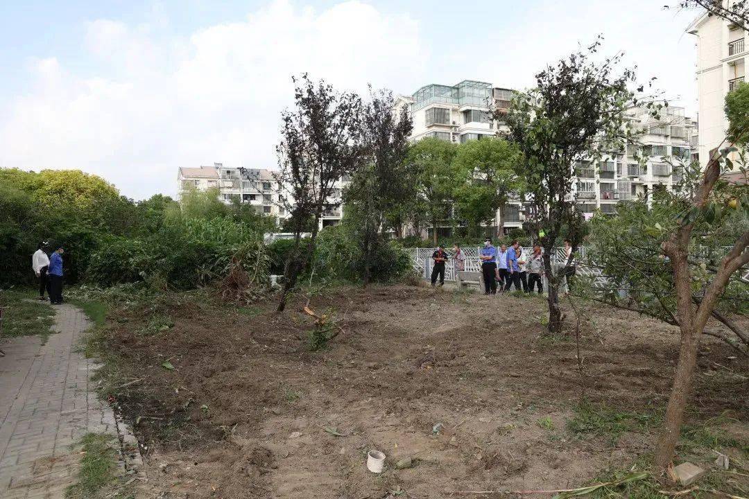 果蔬未必飘香公区岂容私EMC易倍 EMC易倍体育占｜润景苑这件头疼的事情解决啦(图4)