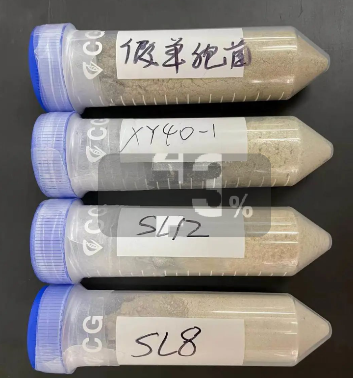 专访邹学校院士团队农用微生物组丨打造一流内生菌资源库创制多款农用微生物产品EMC易倍 EMC易倍体育(图3)
